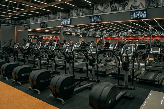 Фотография кардиозоны